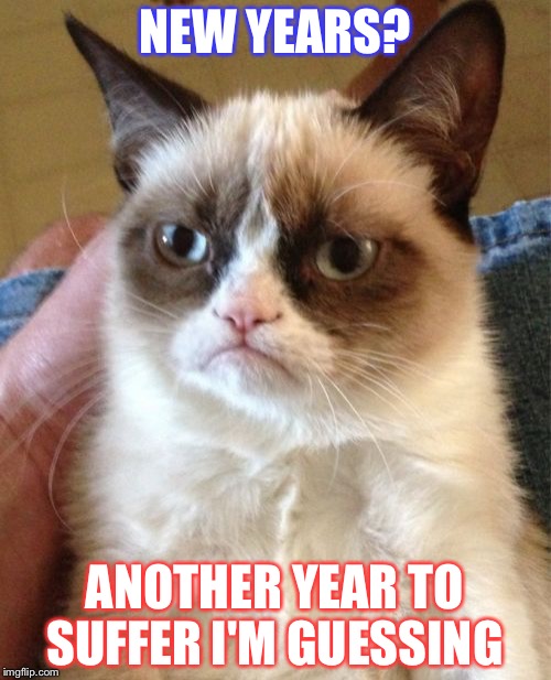 Grumpy Cat Meme | NEW YEARS? ANOTHER YEAR TO SUFFER I'M GUESSING | image tagged in memes,grumpy cat | made w/ Imgflip meme maker