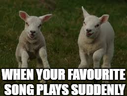 WHEN YOUR FAVOURITE SONG PLAYS SUDDENLY | image tagged in funny | made w/ Imgflip meme maker