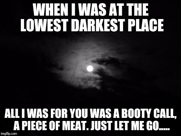 Midnight | WHEN I WAS AT THE LOWEST DARKEST PLACE; ALL I WAS FOR YOU WAS A BOOTY CALL, A PIECE OF MEAT. JUST LET ME GO..... | image tagged in midnight | made w/ Imgflip meme maker