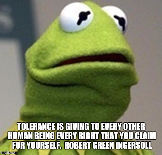 hermit afraid | TOLERANCE IS GIVING TO EVERY OTHER HUMAN BEING EVERY RIGHT THAT YOU CLAIM FOR YOURSELF.

ROBERT GREEN INGERSOLL | image tagged in hermit afraid | made w/ Imgflip meme maker