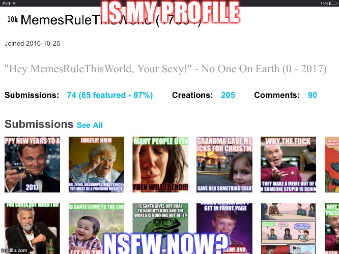 Read The Tagline | IS MY PROFILE; NSFW NOW? | image tagged in memes | made w/ Imgflip meme maker