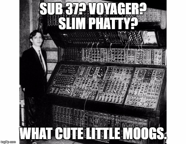 SUB 37? VOYAGER? 
  SLIM PHATTY? WHAT CUTE LITTLE MOOGS. | image tagged in hans zimmer and moog 1970 | made w/ Imgflip meme maker