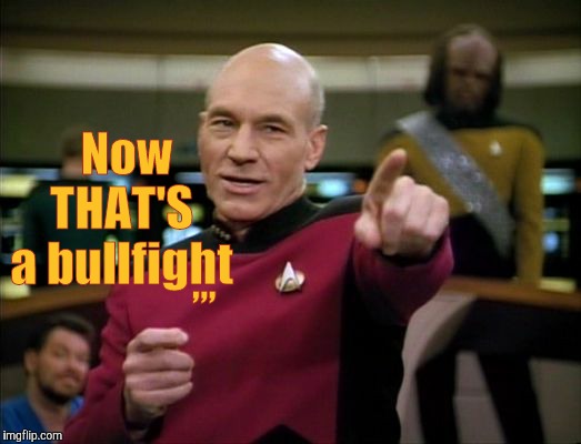 Picard says,,, | Now THAT'S a bullfight ,,, | image tagged in picard says   | made w/ Imgflip meme maker