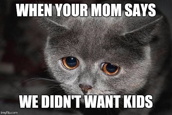 saddisappointedcat | WHEN YOUR MOM SAYS; WE DIDN'T WANT KIDS | image tagged in saddisappointedcat | made w/ Imgflip meme maker