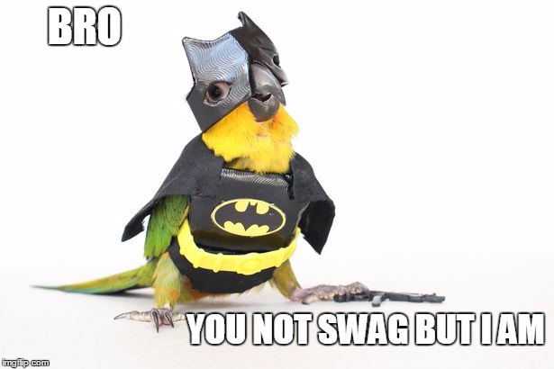 Batman goes swag | BRO; YOU NOT SWAG BUT I AM | image tagged in batman and robin | made w/ Imgflip meme maker