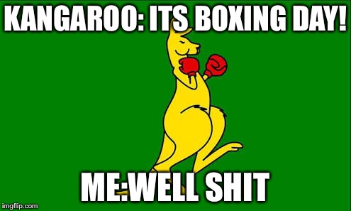 KANGAROO: ITS BOXING DAY! ME:WELL SHIT | image tagged in kangaroo fight | made w/ Imgflip meme maker