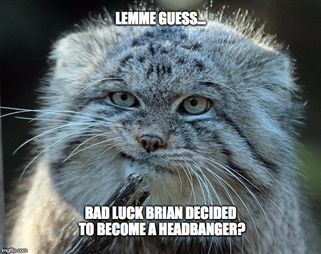 LEMME GUESS... BAD LUCK BRIAN DECIDED TO BECOME A HEADBANGER? | made w/ Imgflip meme maker