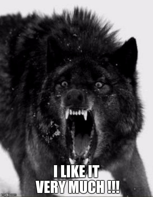 wolfy | I LIKE IT VERY MUCH !!! | image tagged in wolfy | made w/ Imgflip meme maker