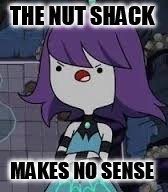 THE NUT SHACK; MAKES NO SENSE | image tagged in memes | made w/ Imgflip meme maker