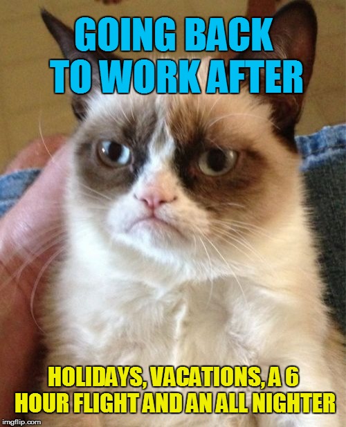 Grumpy Cat Meme | GOING BACK TO WORK AFTER; HOLIDAYS, VACATIONS, A 6 HOUR FLIGHT AND AN ALL NIGHTER | image tagged in memes,grumpy cat | made w/ Imgflip meme maker