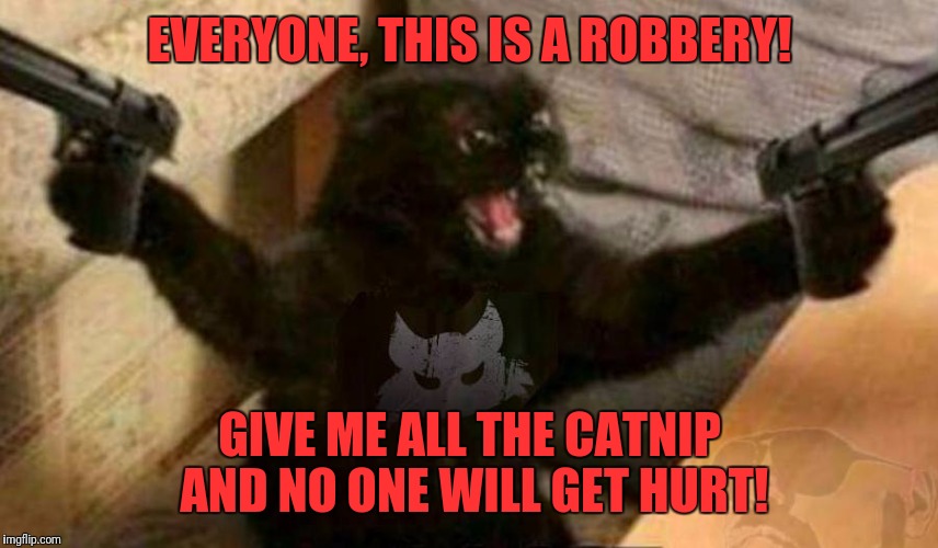 Cat With Guns | EVERYONE, THIS IS A ROBBERY! GIVE ME ALL THE CATNIP AND NO ONE WILL GET HURT! | image tagged in cat with guns | made w/ Imgflip meme maker