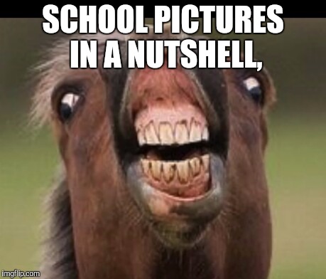 School Picture | SCHOOL PICTURES IN A NUTSHELL, | image tagged in memes,funny | made w/ Imgflip meme maker