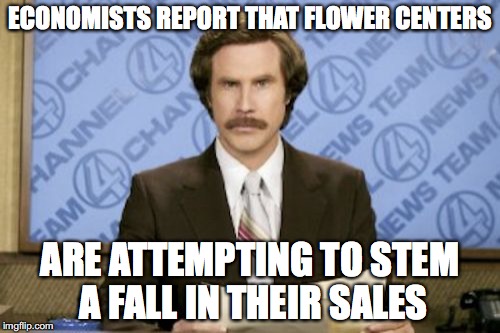 The poor flower centers... ;P | ECONOMISTS REPORT THAT FLOWER CENTERS; ARE ATTEMPTING TO STEM A FALL IN THEIR SALES | image tagged in memes,ron burgundy,flowers,economics,thebestmememakerever,funny | made w/ Imgflip meme maker