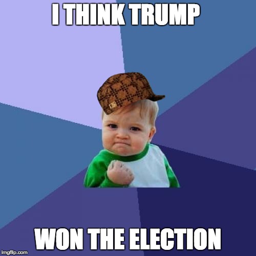 Success Kid Meme | I THINK TRUMP; WON THE ELECTION | image tagged in memes,success kid,scumbag | made w/ Imgflip meme maker