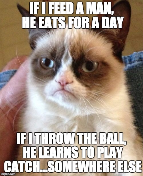 Grumpy Cat Meme | IF I FEED A MAN, HE EATS FOR A DAY; IF I THROW THE BALL, HE LEARNS TO PLAY CATCH...SOMEWHERE ELSE | image tagged in memes,grumpy cat | made w/ Imgflip meme maker