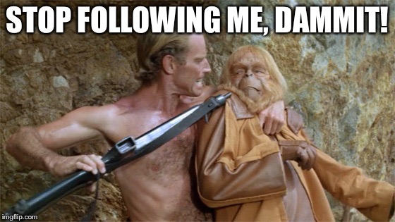Apes | STOP FOLLOWING ME, DAMMIT! | image tagged in apes | made w/ Imgflip meme maker