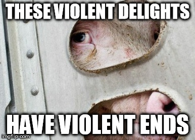THESE VIOLENT DELIGHTS; HAVE VIOLENT ENDS | image tagged in pigforslaughter | made w/ Imgflip meme maker