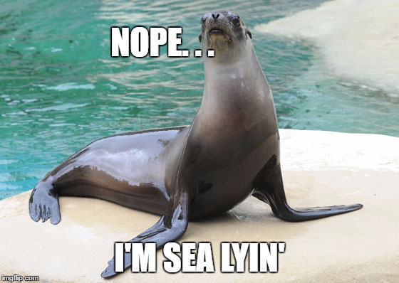 NOPE. . . I'M SEA LYIN' | made w/ Imgflip meme maker