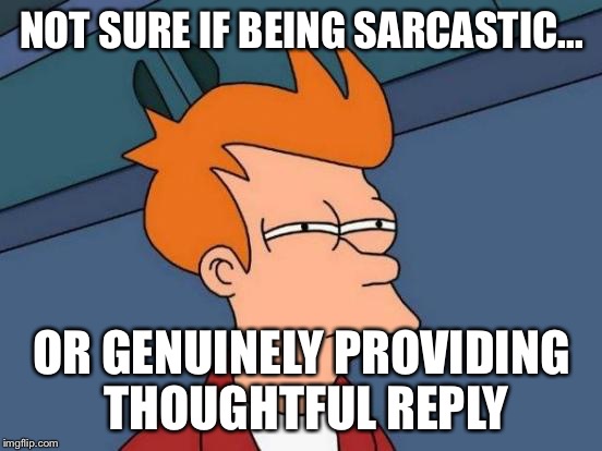Futurama Fry Meme | NOT SURE IF BEING SARCASTIC... OR GENUINELY PROVIDING THOUGHTFUL REPLY | image tagged in memes,futurama fry | made w/ Imgflip meme maker