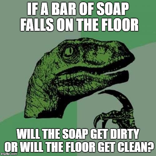 Philosoraptor | IF A BAR OF SOAP FALLS ON THE FLOOR; WILL THE SOAP GET DIRTY OR WILL THE FLOOR GET CLEAN? | image tagged in memes,philosoraptor | made w/ Imgflip meme maker