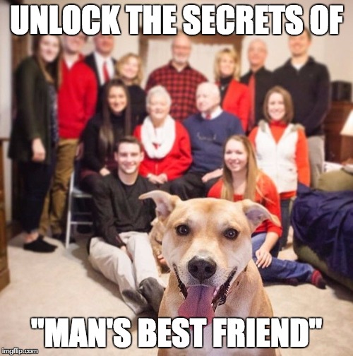 UNLOCK THE SECRETS OF; "MAN'S BEST FRIEND" | image tagged in dogphoto | made w/ Imgflip meme maker