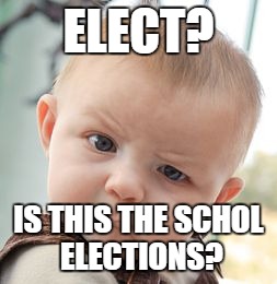Skeptical Baby Meme | ELECT? IS THIS THE SCHOL ELECTIONS? | image tagged in memes,skeptical baby | made w/ Imgflip meme maker