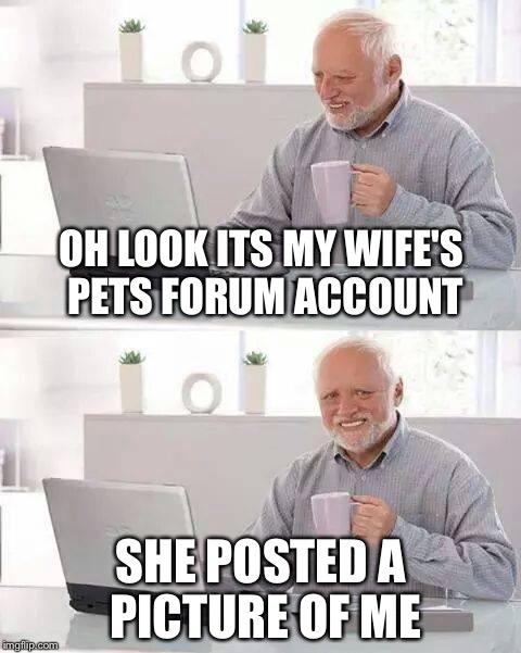 Hide the Pain Harold Meme | OH LOOK ITS MY WIFE'S PETS FORUM ACCOUNT; SHE POSTED A PICTURE OF ME | image tagged in memes,hide the pain harold | made w/ Imgflip meme maker