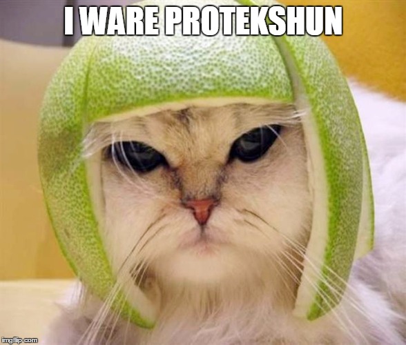 I WARE PROTEKSHUN | made w/ Imgflip meme maker