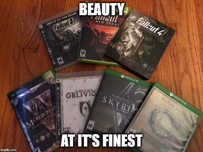 Beauty | BEAUTY; AT IT'S FINEST | image tagged in gaming,bethesda,skyrim,fallout 4 | made w/ Imgflip meme maker
