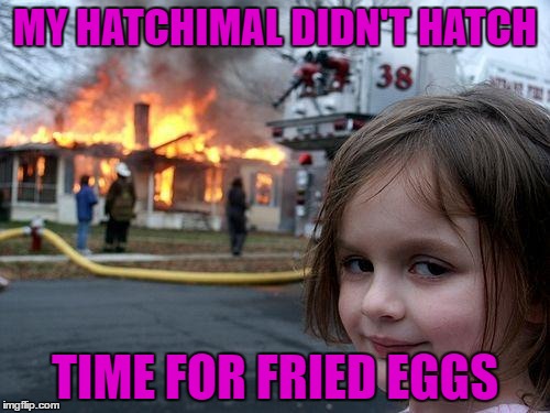 Hatchimals | MY HATCHIMAL DIDN'T HATCH; TIME FOR FRIED EGGS | image tagged in memes,disaster girl | made w/ Imgflip meme maker