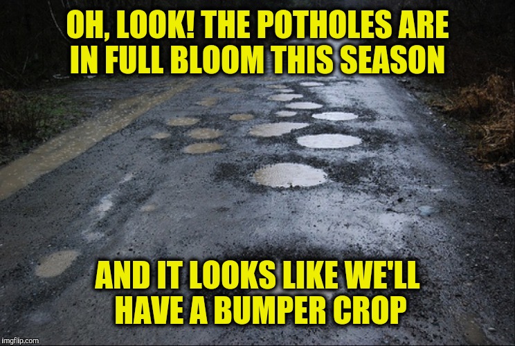 Bumper crop, all right! Cost me a 100 bucks to get my front end aligned! | OH, LOOK! THE POTHOLES ARE IN FULL BLOOM THIS SEASON; AND IT LOOKS LIKE WE'LL HAVE A BUMPER CROP | image tagged in potholes,car damage,repair bills | made w/ Imgflip meme maker