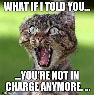 Shocked Cat | WHAT IF I TOLD YOU... ...YOU'RE NOT IN CHARGE ANYMORE. ... | image tagged in shocked cat | made w/ Imgflip meme maker