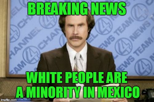 BREAKING NEWS WHITE PEOPLE ARE A MINORITY IN MEXICO | made w/ Imgflip meme maker
