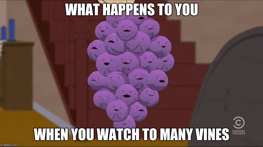 Member Berries | WHAT HAPPENS TO YOU; WHEN YOU WATCH TO MANY VINES | image tagged in memes,member berries | made w/ Imgflip meme maker