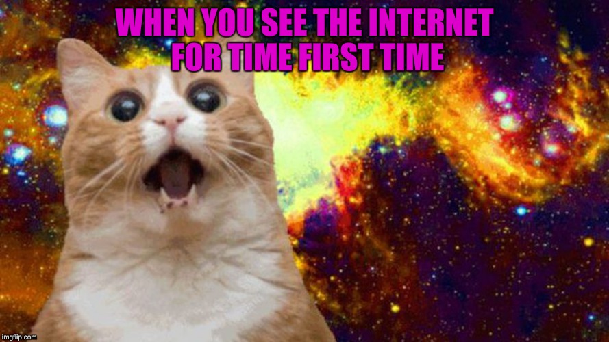 Amazed Cat | WHEN YOU SEE THE INTERNET FOR TIME FIRST TIME | image tagged in amazed cat | made w/ Imgflip meme maker