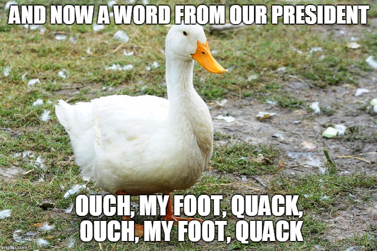 Lame Duck | AND NOW A WORD FROM OUR PRESIDENT; OUCH, MY FOOT, QUACK, OUCH, MY FOOT, QUACK | image tagged in lame duck | made w/ Imgflip meme maker