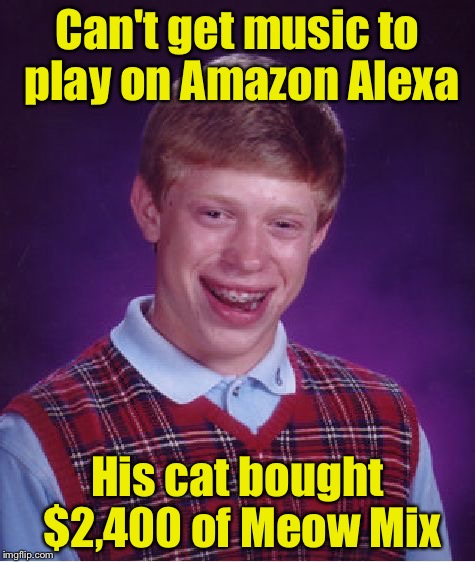 Bad Luck Brian Meme | Can't get music to play on Amazon Alexa; His cat bought $2,400 of Meow Mix | image tagged in memes,bad luck brian | made w/ Imgflip meme maker