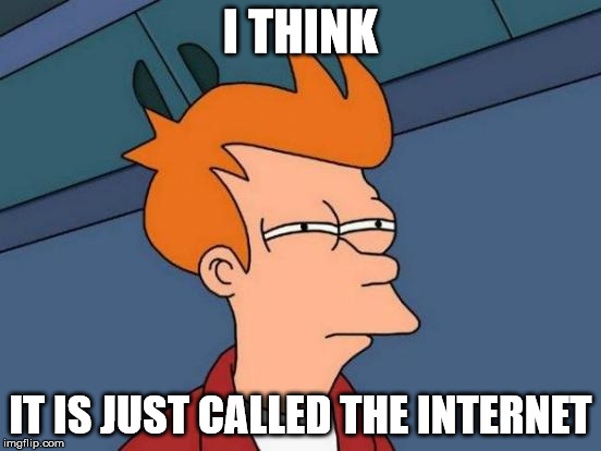 I THINK IT IS JUST CALLED THE INTERNET | image tagged in memes,futurama fry | made w/ Imgflip meme maker