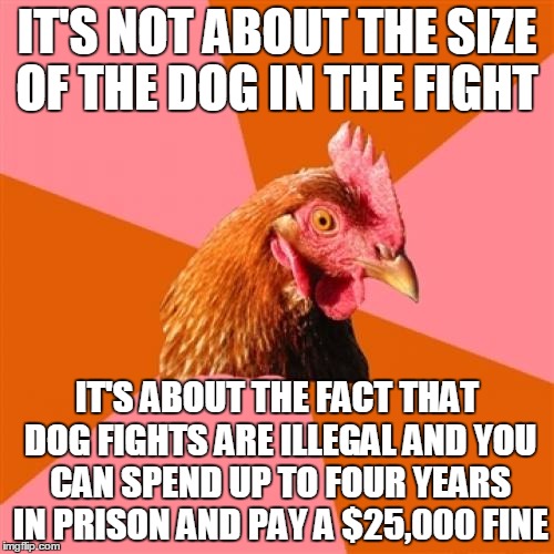 Anti Joke Chicken | IT'S NOT ABOUT THE SIZE OF THE DOG IN THE FIGHT; IT'S ABOUT THE FACT THAT DOG FIGHTS ARE ILLEGAL AND YOU CAN SPEND UP TO FOUR YEARS IN PRISON AND PAY A $25,000 FINE | image tagged in memes,anti joke chicken,trhtimmy,animals | made w/ Imgflip meme maker