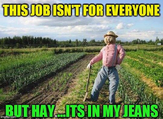 THIS JOB ISN'T FOR EVERYONE BUT HAY ...ITS IN MY JEANS | made w/ Imgflip meme maker