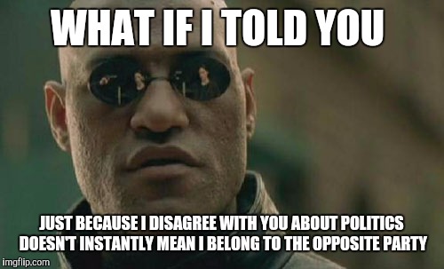 Matrix Morpheus | WHAT IF I TOLD YOU; JUST BECAUSE I DISAGREE WITH YOU ABOUT POLITICS DOESN'T INSTANTLY MEAN I BELONG TO THE OPPOSITE PARTY | image tagged in memes,matrix morpheus | made w/ Imgflip meme maker