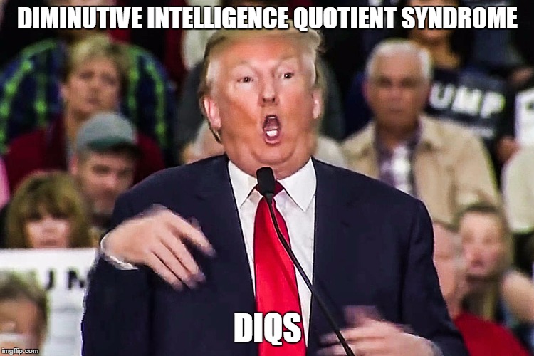 DIQS | DIMINUTIVE INTELLIGENCE QUOTIENT SYNDROME; DIQS | image tagged in idiot,moron,imbecile,dumb,dick,dickhead | made w/ Imgflip meme maker