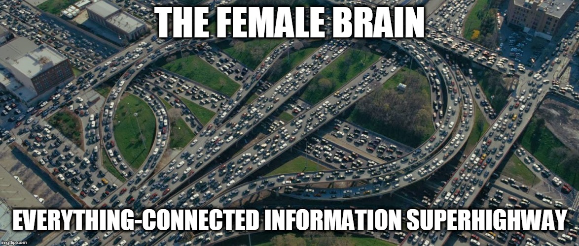 From: "THE SMART GIRL'S GUIDE TO INTERNET DATING" by Nannette LaRee Hernandez | THE FEMALE BRAIN; EVERYTHING-CONNECTED INFORMATION SUPERHIGHWAY | image tagged in men,online dating,dating,internet dating,love,relationships | made w/ Imgflip meme maker