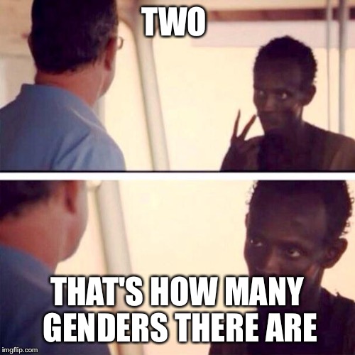 Two | TWO THAT'S HOW MANY GENDERS THERE ARE | image tagged in two | made w/ Imgflip meme maker