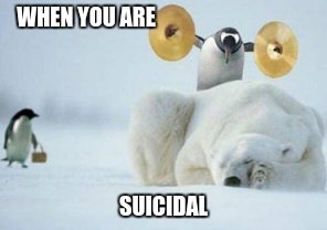 Penguin With Cymbals | WHEN YOU ARE; SUICIDAL | image tagged in penguin with cymbals | made w/ Imgflip meme maker