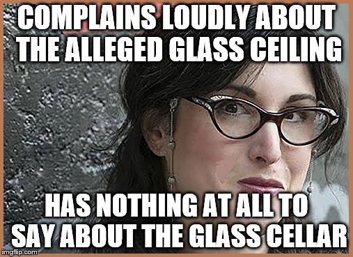a new year, a new anti-feminist meme | COMPLAINS LOUDLY ABOUT THE ALLEGED GLASS CEILING; HAS NOTHING AT ALL TO SAY ABOUT THE GLASS CELLAR | image tagged in feminist zeisler | made w/ Imgflip meme maker