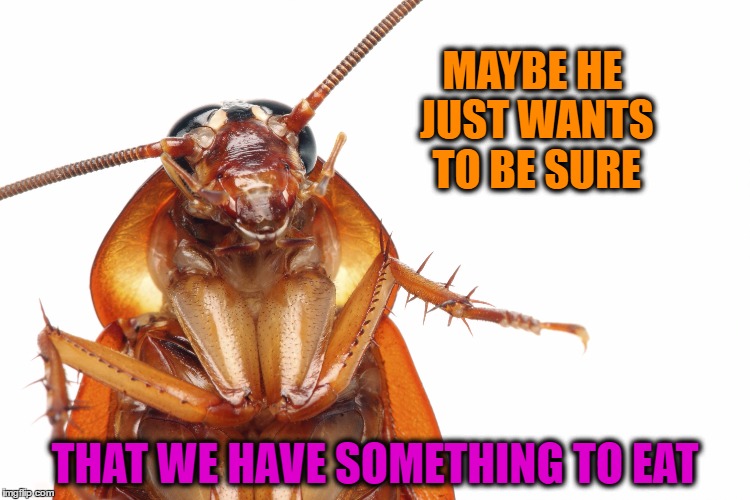 MAYBE HE JUST WANTS TO BE SURE THAT WE HAVE SOMETHING TO EAT | image tagged in cockroach | made w/ Imgflip meme maker