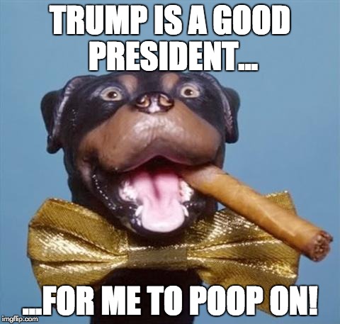 Triumph on Trump | TRUMP IS A GOOD PRESIDENT... ...FOR ME TO POOP ON! | image tagged in triumph the insult comic dog,donald trump | made w/ Imgflip meme maker