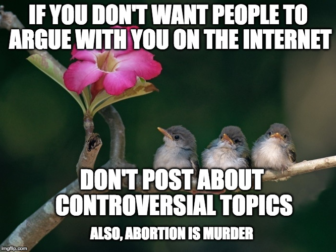 Just saying! | IF YOU DON'T WANT PEOPLE TO ARGUE WITH YOU ON THE INTERNET; DON'T POST ABOUT CONTROVERSIAL TOPICS; ALSO, ABORTION IS MURDER | image tagged in 3 baby birds branch flower,internet,troll,abortion,murder,bacon | made w/ Imgflip meme maker