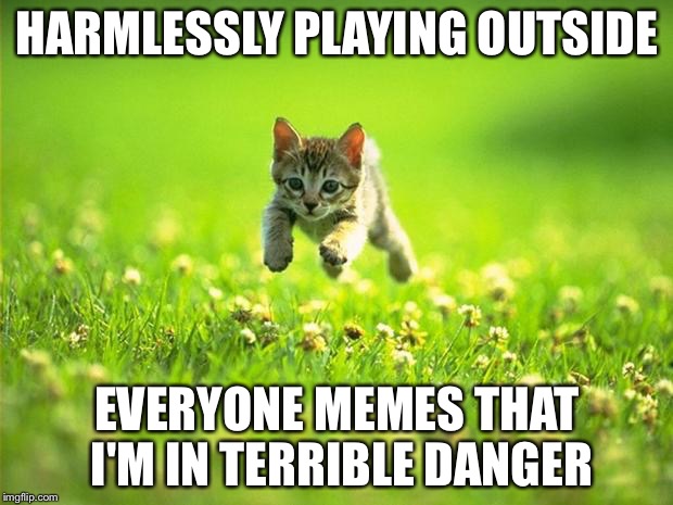 Every time I smile God Kills a Kitten |  HARMLESSLY PLAYING OUTSIDE; EVERYONE MEMES THAT I'M IN TERRIBLE DANGER | image tagged in every time i smile god kills a kitten | made w/ Imgflip meme maker